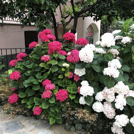B&B Ca' Du Brigidin Tovo San Giacomo Zewnętrze zdjęcie