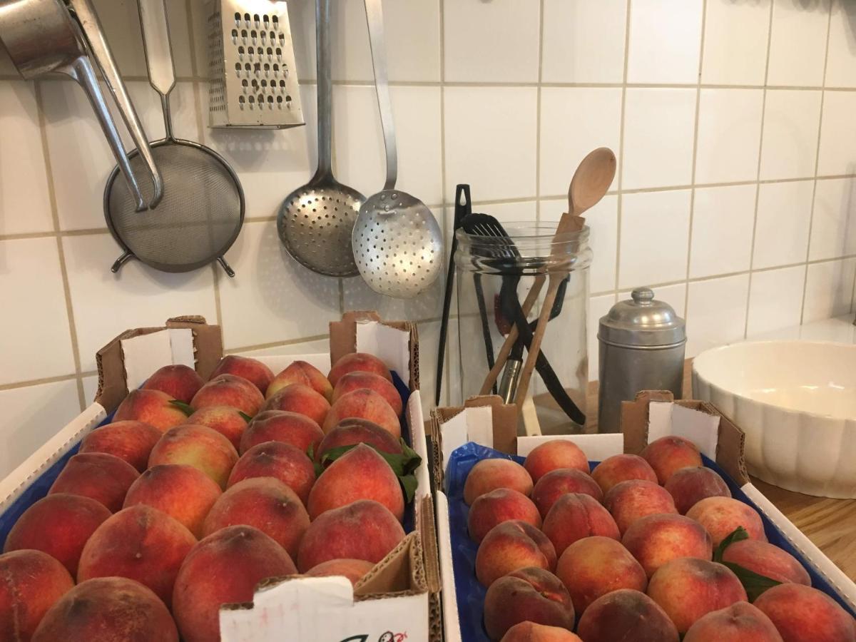 B&B Ca' Du Brigidin Tovo San Giacomo Zewnętrze zdjęcie