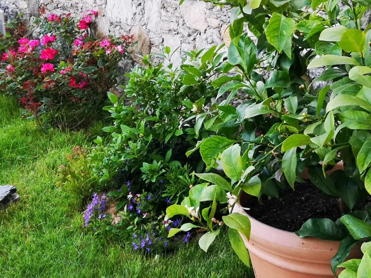 B&B Ca' Du Brigidin Tovo San Giacomo Zewnętrze zdjęcie