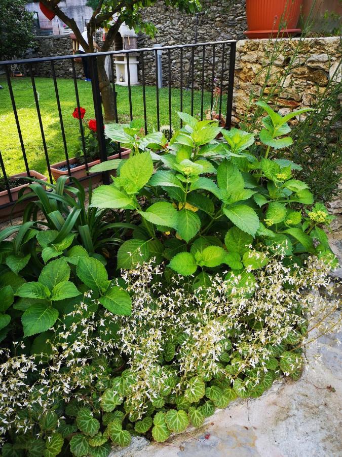 B&B Ca' Du Brigidin Tovo San Giacomo Zewnętrze zdjęcie