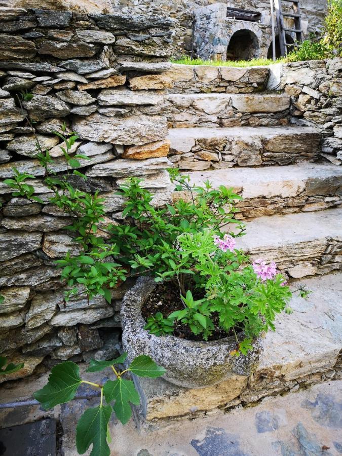 B&B Ca' Du Brigidin Tovo San Giacomo Zewnętrze zdjęcie