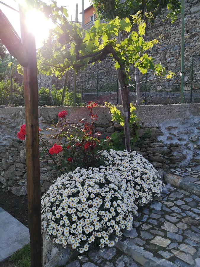 B&B Ca' Du Brigidin Tovo San Giacomo Zewnętrze zdjęcie