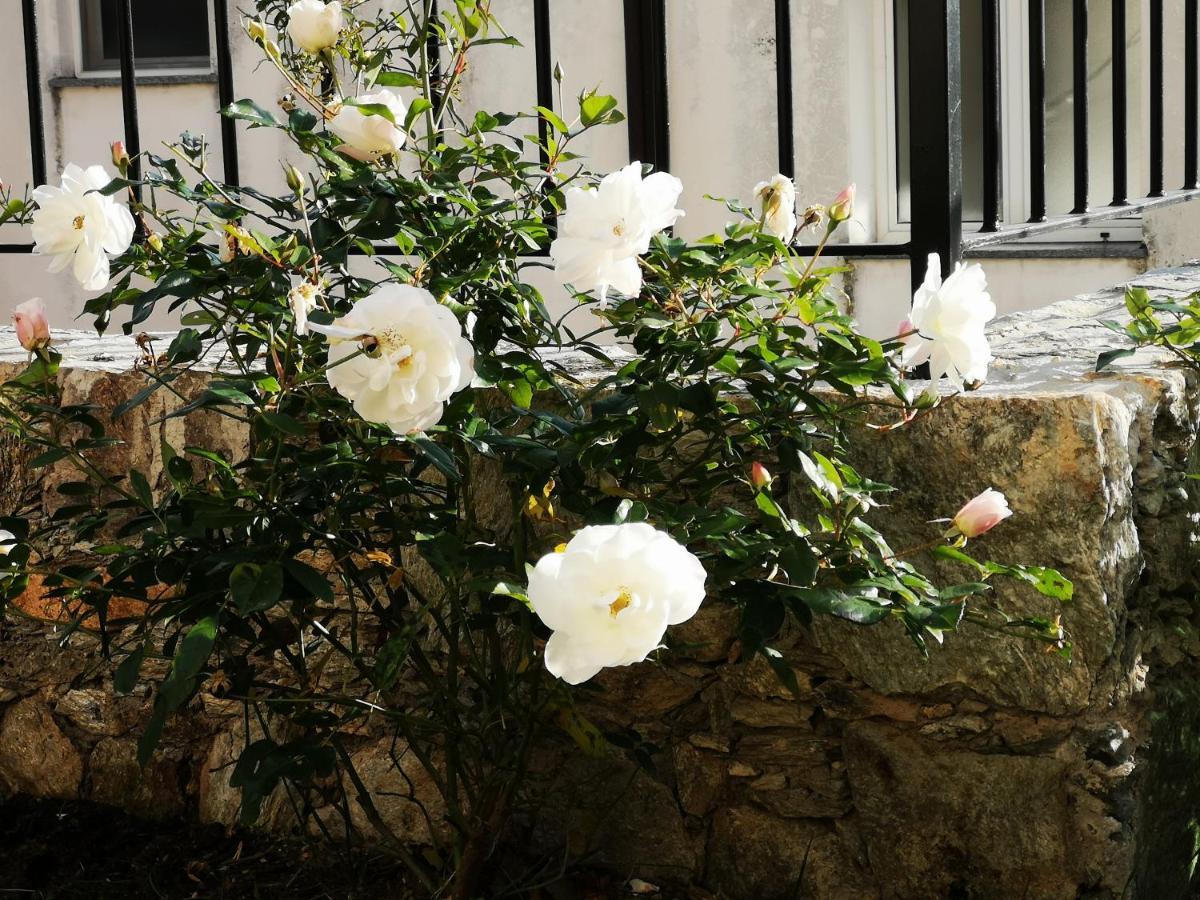 B&B Ca' Du Brigidin Tovo San Giacomo Zewnętrze zdjęcie
