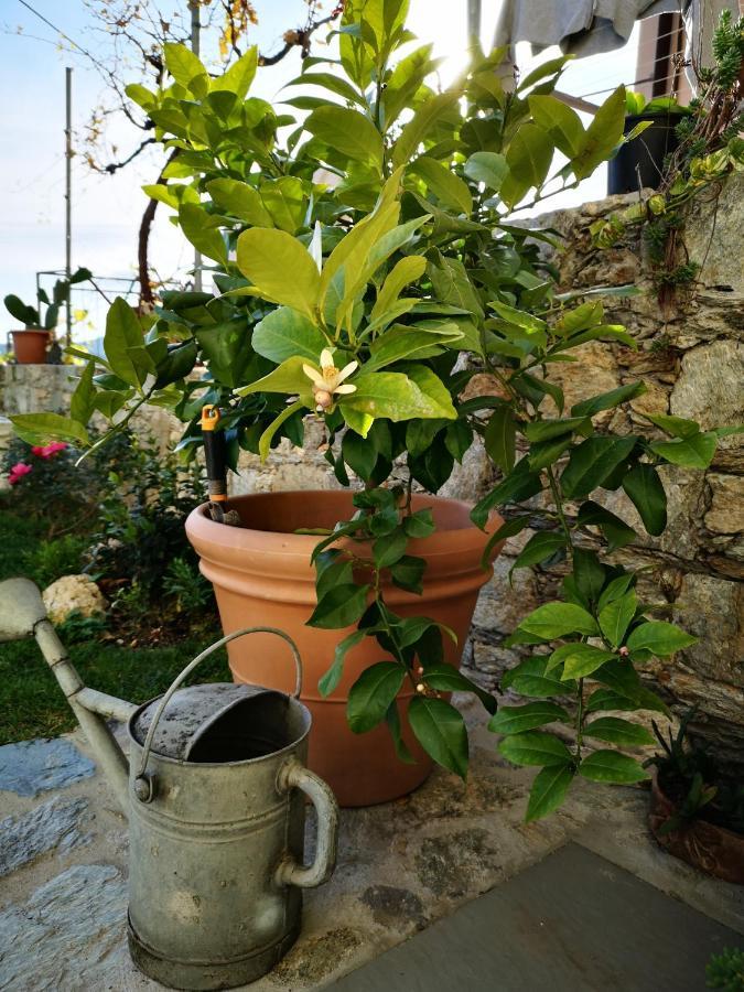 B&B Ca' Du Brigidin Tovo San Giacomo Zewnętrze zdjęcie