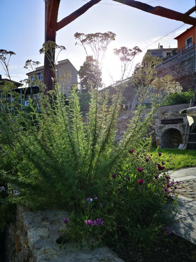 B&B Ca' Du Brigidin Tovo San Giacomo Zewnętrze zdjęcie